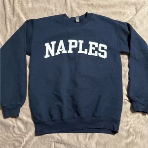 Gildan Blue and White Crewneck Sweater